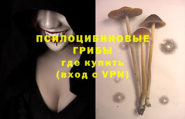 Альфа ПВП Богданович