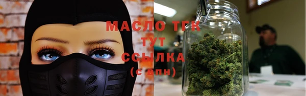 мдпв Богородск