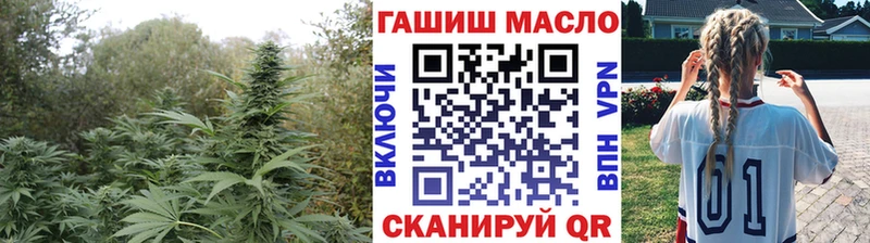 как найти наркотики  Инсар  ТГК гашишное масло 